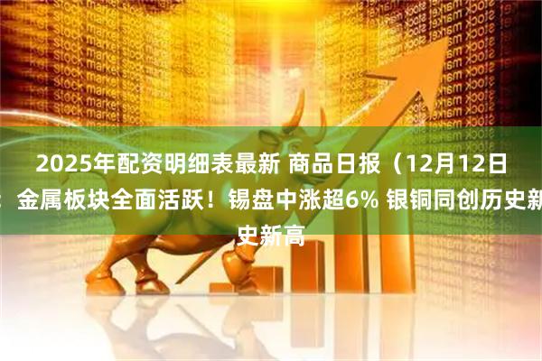2025年配资明细表最新 商品日报（12月12日）：金属板块全面活跃！锡盘中涨超6% 银铜同创历史新高